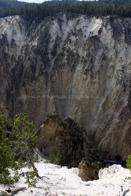 1903 - Grand Teton and Yellowstone NP road trip 2019 - IMG_3778 DxO pbase.jpg