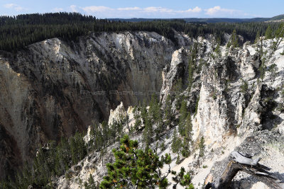 1914 - Grand Teton and Yellowstone NP road trip 2019 - IMG_3785 DxO pbase.jpg