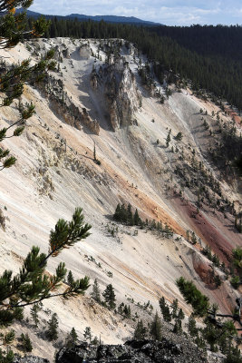 1917 - Grand Teton and Yellowstone NP road trip 2019 - IMG_3789 DxO pbase.jpg