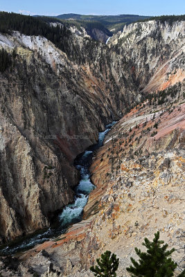 1929 - Grand Teton and Yellowstone NP road trip 2019 - IMG_3802 DxO pbase.jpg