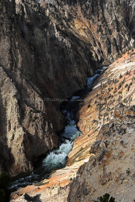 1931 - Grand Teton and Yellowstone NP road trip 2019 - IMG_3804 DxO pbase.jpg