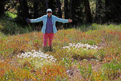 1939 - Grand Teton and Yellowstone NP road trip 2019 - IMG_3814 DxO pbase.jpg