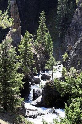 1958 - Grand Teton and Yellowstone NP road trip 2019 - IMG_3824 DxO pbase.jpg