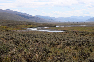 1986 - Grand Teton and Yellowstone NP road trip 2019 - IMG_3853 DxO pbase.jpg