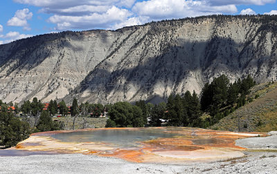 2290 - Grand Teton and Yellowstone NP road trip 2019 - IMG_4150 DxO pbase.jpg