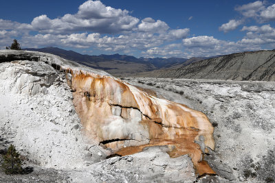 2378 - Grand Teton and Yellowstone NP road trip 2019 - IMG_4235 DxO pbase.jpg