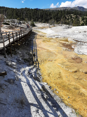 2472 - Grand Teton and Yellowstone NP road trip 2019 - 20190831_141704 DxO pbase.jpg