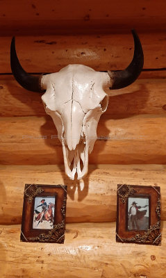 Yellowstone National Park - Visiting Artist's Paint Pot