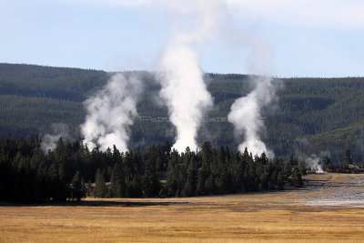 3653 - Grand Teton and Yellowstone NP road trip 2019 - IMG_5611 DxO Pbase.jpg