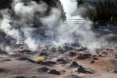 3725 - Grand Teton and Yellowstone NP road trip 2019 - IMG_5678 DxO Pbase.jpg