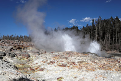 3621 - Grand Teton and Yellowstone NP road trip 2019 - IMG_5578 DxO Pbase.jpg