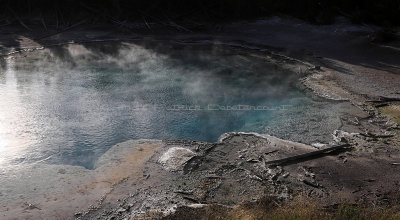 Yellowstone NP - Norris Geyser Basin : Steamboat Geyser (N°1 in height in the world !), Emerald Spring...
