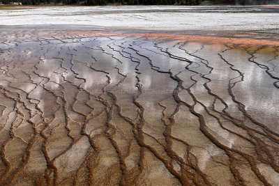 4154 - Grand Teton and Yellowstone NP road trip 2019 - IMG_6109 DxO Pbase.jpg