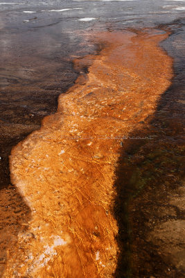 4160 - Grand Teton and Yellowstone NP road trip 2019 - IMG_6114 DxO Pbase.jpg