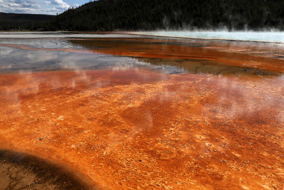 4165 - Grand Teton and Yellowstone NP road trip 2019 - IMG_6118 DxO Pbase.jpg