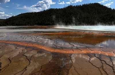 4188 - Grand Teton and Yellowstone NP road trip 2019 - IMG_6141 DxO Pbase.jpg