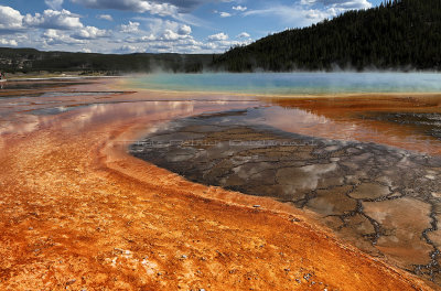 4218 - Grand Teton and Yellowstone NP road trip 2019 - IMG_6170 DxO Pbase.jpg