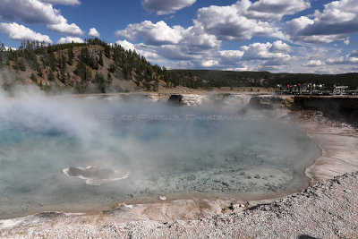 4246 - Grand Teton and Yellowstone NP road trip 2019 - IMG_6201 DxO Pbase.jpg