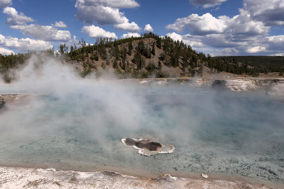 4249 - Grand Teton and Yellowstone NP road trip 2019 - IMG_6204 DxO Pbase.jpg