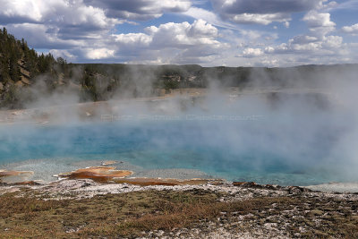 4253 - Grand Teton and Yellowstone NP road trip 2019 - IMG_6208 DxO Pbase.jpg