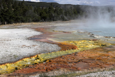 4258 - Grand Teton and Yellowstone NP road trip 2019 - IMG_6214 DxO Pbase.jpg