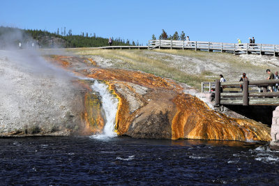 4645 - Grand Teton and Yellowstone NP road trip 2019 - IMG_6591 DxO Pbase.jpg