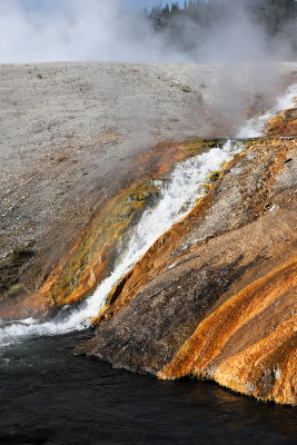 4646 - Grand Teton and Yellowstone NP road trip 2019 - IMG_6592 DxO Pbase.jpg