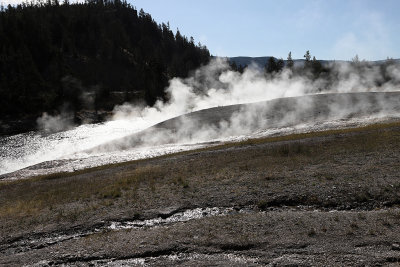 4648 - Grand Teton and Yellowstone NP road trip 2019 - IMG_6595 DxO Pbase.jpg