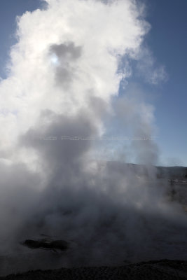 4656 - Grand Teton and Yellowstone NP road trip 2019 - IMG_6604 DxO Pbase.jpg