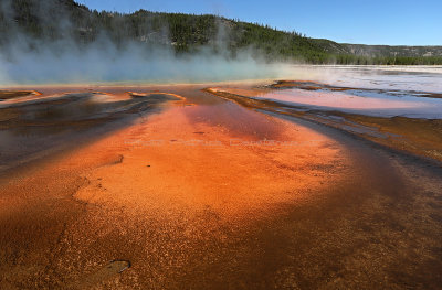 4690 - Grand Teton and Yellowstone NP road trip 2019 - IMG_6638 DxO Pbase.jpg