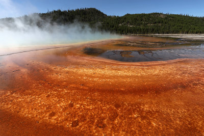 4694 - Grand Teton and Yellowstone NP road trip 2019 - IMG_6642 DxO Pbase.jpg