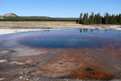 4708 - Grand Teton and Yellowstone NP road trip 2019 - IMG_6654 DxO Pbase.jpg