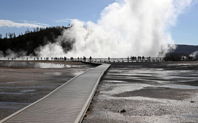 4709 - Grand Teton and Yellowstone NP road trip 2019 - IMG_6655 DxO Pbase.jpg