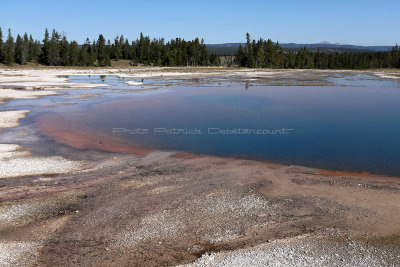 4711 - Grand Teton and Yellowstone NP road trip 2019 - IMG_6657 DxO Pbase.jpg