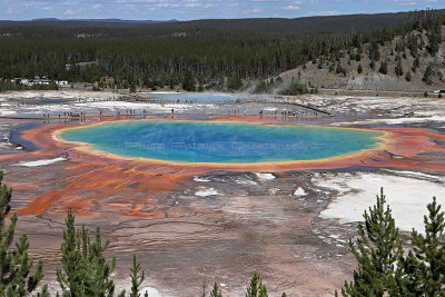 5082 - Grand Teton and Yellowstone NP road trip 2019 - IMG_7023 DxO Pbase.jpg