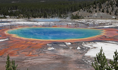 5088 - Grand Teton and Yellowstone NP road trip 2019 - IMG_7028 DxO Pbase.jpg