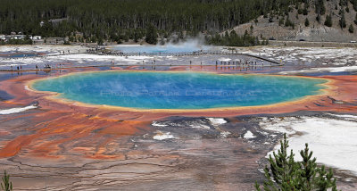 5106 - Grand Teton and Yellowstone NP road trip 2019 - IMG_7044 DxO Pbase.jpg