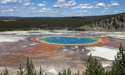 5110 - Grand Teton and Yellowstone NP road trip 2019 - IMG_7048 DxO Pbase.jpg