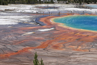 5116 - Grand Teton and Yellowstone NP road trip 2019 - IMG_7054 DxO Pbase.jpg