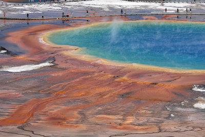 5122 - Grand Teton and Yellowstone NP road trip 2019 - IMG_7059 DxO Pbase.jpg