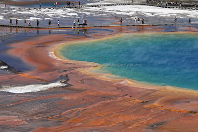 5141 - Grand Teton and Yellowstone NP road trip 2019 - IMG_7079 DxO Pbase.jpg