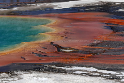 5146 - Grand Teton and Yellowstone NP road trip 2019 - IMG_7084 DxO Pbase.jpg