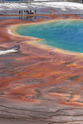 5155 - Grand Teton and Yellowstone NP road trip 2019 - IMG_7093 DxO Pbase.jpg