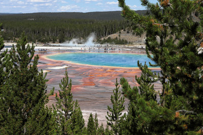 5198 - Grand Teton and Yellowstone NP road trip 2019 - IMG_7135 DxO Pbase.jpg