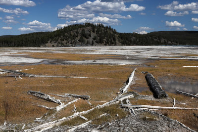 5202 - Grand Teton and Yellowstone NP road trip 2019 - IMG_7140 DxO Pbase.jpg