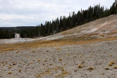 5696 - Grand Teton and Yellowstone NP road trip 2019 - IMG_7636 DxO Pbase.jpg