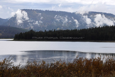 5723 - Grand Teton and Yellowstone NP road trip 2019 - IMG_7663 DxO Pbase.jpg