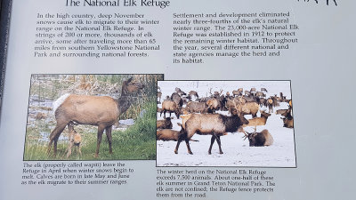 Grand Teton NP - Gros Ventre Road, Gros Ventre Slide, and visit of the cabins of the film Shane