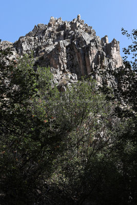 6728 - Grand Teton and Yellowstone NP road trip 2019 - IMG_8505 DxO Pbase.jpg