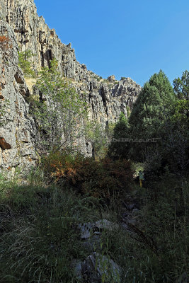 6733 - Grand Teton and Yellowstone NP road trip 2019 - IMG_8510 DxO DxO Pbase.jpg